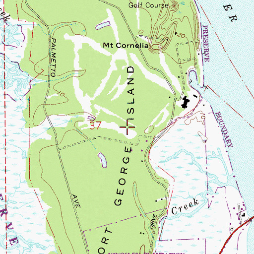 Topographic Map of Fort George Island, FL