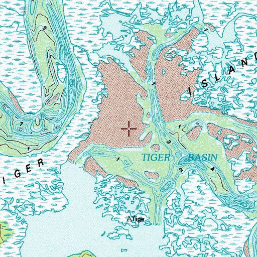 Topographic Map of Tiger Island, FL