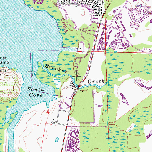 Topographic Map of Brooker Creek, FL