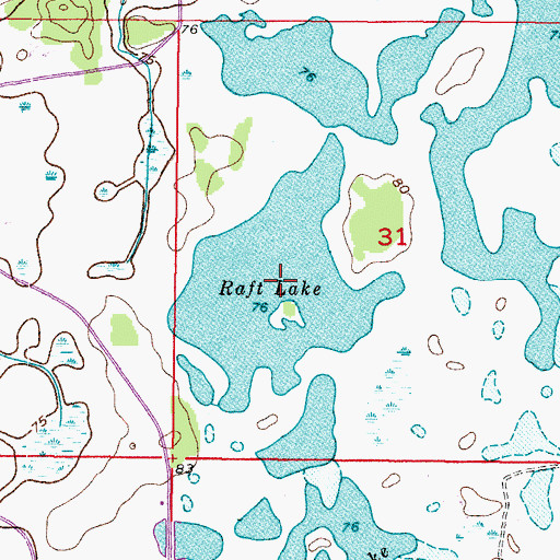 Topographic Map of Raft Lake, FL