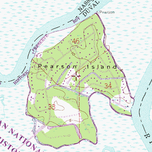 Topographic Map of Pearson Island, FL