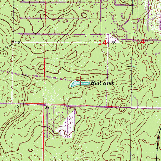 Topographic Map of Bull Sink, FL