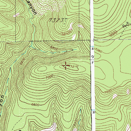 Topographic Map of Government Mesa, AZ