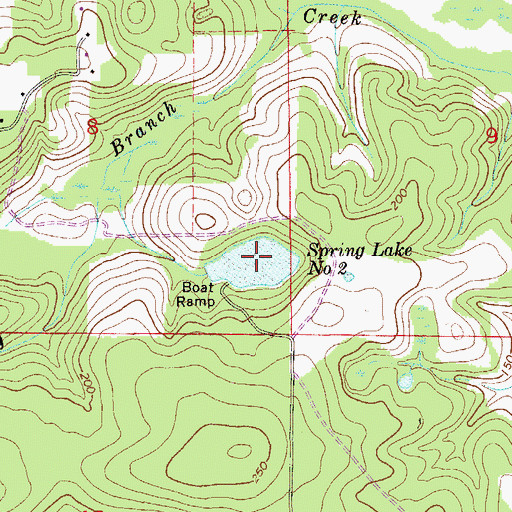 Topographic Map of Spring Lake Number Two, FL