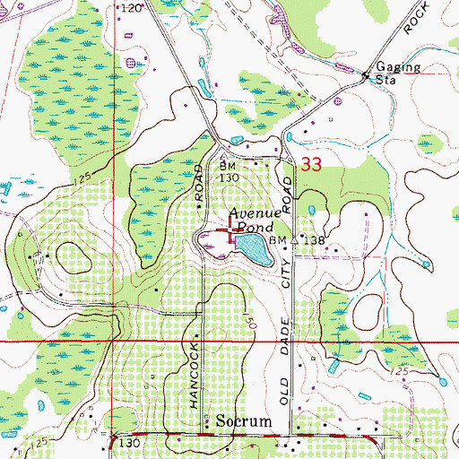 Topographic Map of Avenue Pond, FL