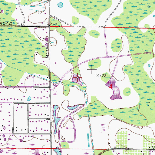 Topographic Map of Lake Bowles, FL