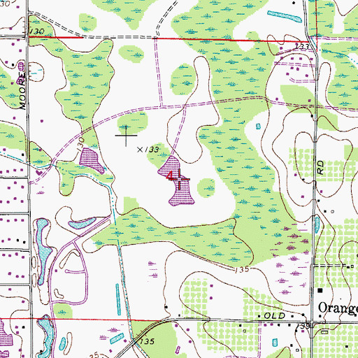 Topographic Map of Lake Ennis, FL