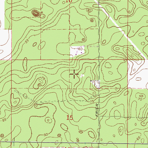 Topographic Map of Woftoka (historical), FL