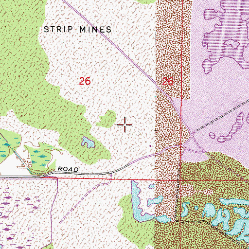 Topographic Map of Picnic Lake, FL