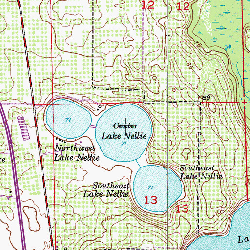 Topographic Map of Center Lake Nellie, FL