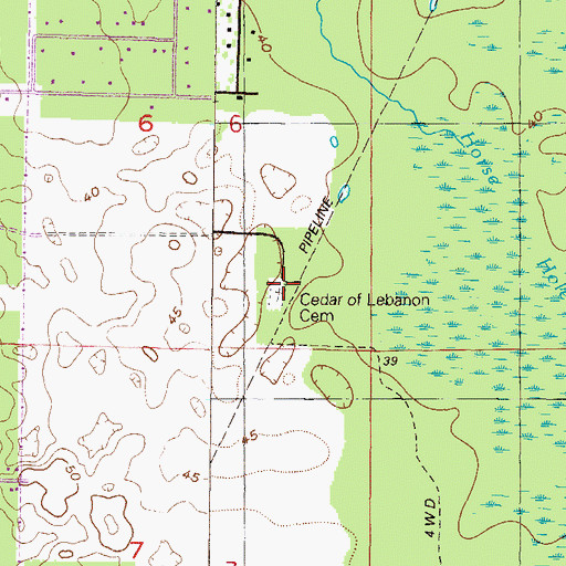 Topographic Map of Cedar of Lebanon Cemetery, FL