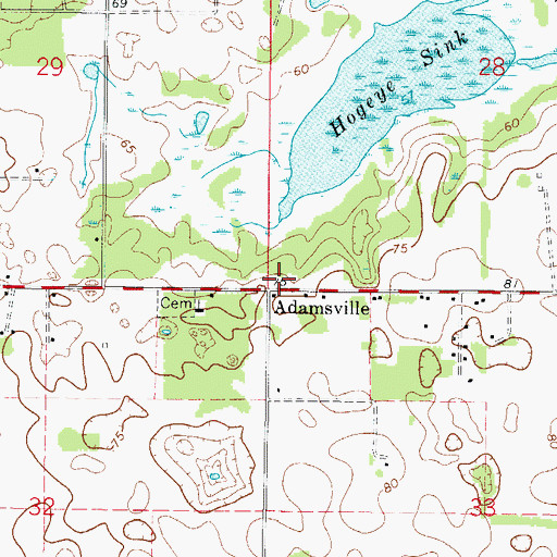 Topographic Map of Adamsville, FL