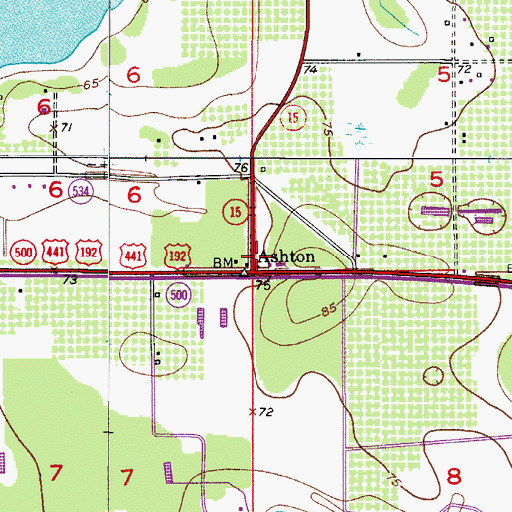 Topographic Map of Ashton, FL