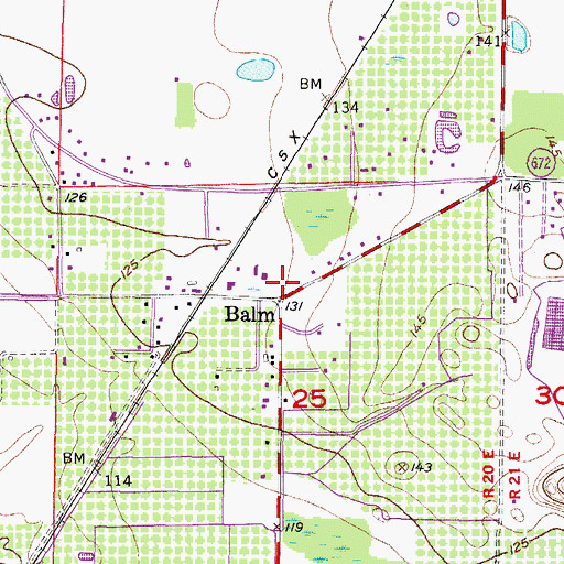 Topographic Map of Balm, FL
