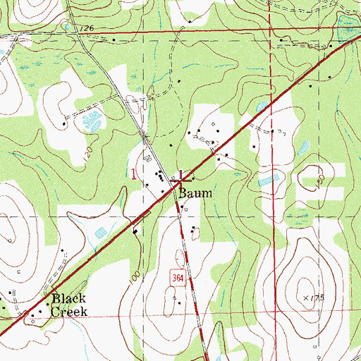 Topographic Map of Baum, FL