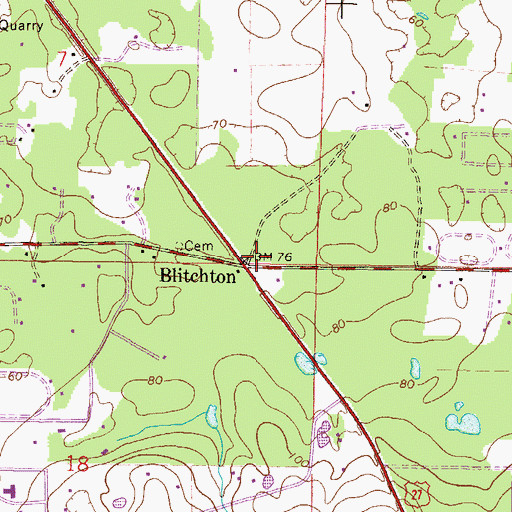 Topographic Map of Blitchton, FL