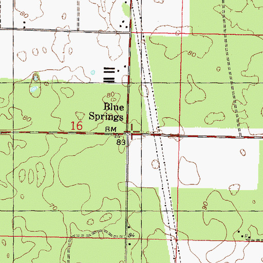 Topographic Map of Blue Springs, FL