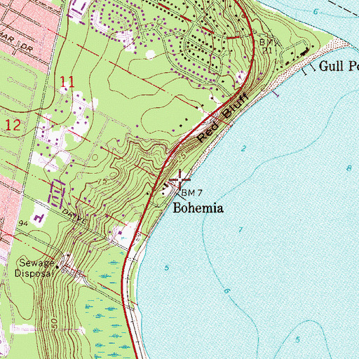 Topographic Map of Bohemia, FL