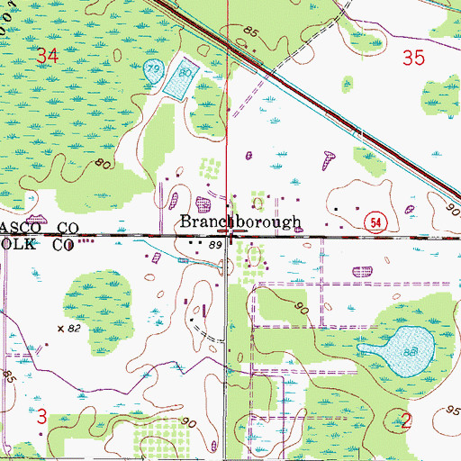 Topographic Map of Branchborough, FL