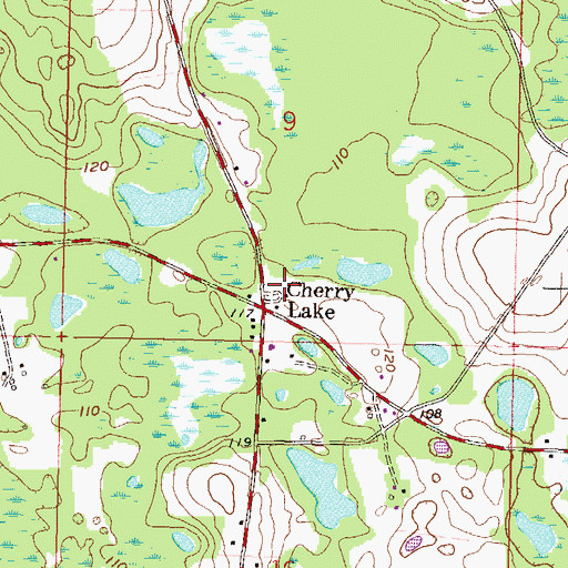 Topographic Map of Cherry Lake, FL