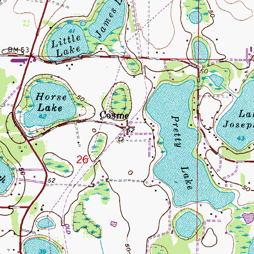 Topographic Map of Cosme, FL