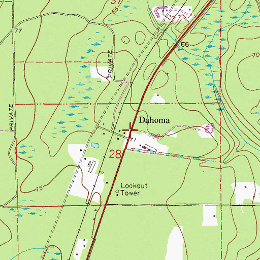 Topographic Map of Dahoma, FL
