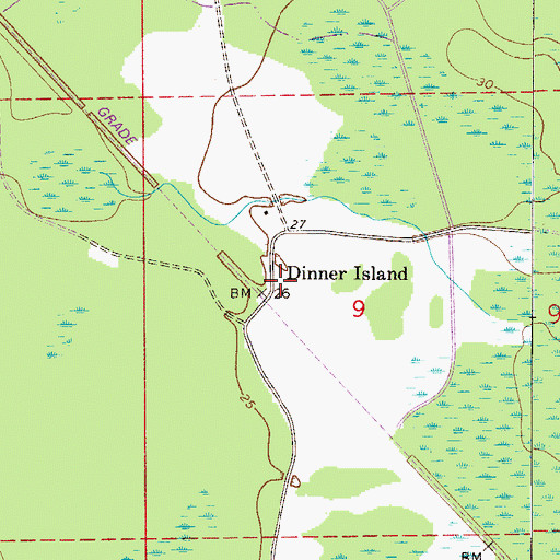 Topographic Map of Dinner Island, FL