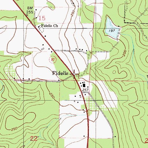 Topographic Map of Fidelis, FL