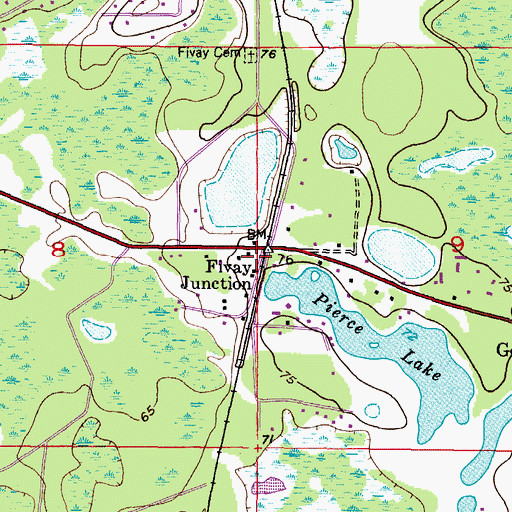Topographic Map of Fivay Junction, FL