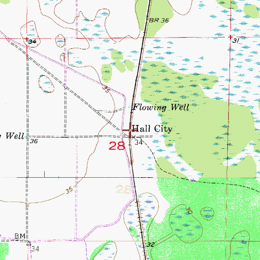 Topographic Map of Hall City, FL
