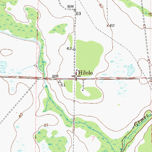 Topographic Map of Hilolo, FL