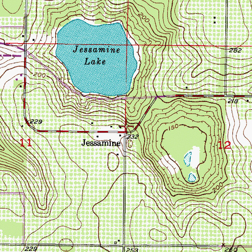 Topographic Map of Jessamine, FL