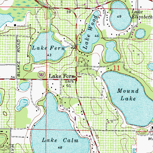 Topographic Map of Lake Fern, FL