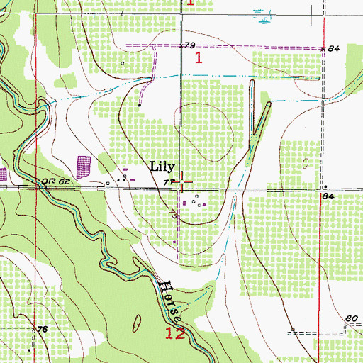 Topographic Map of Lily, FL