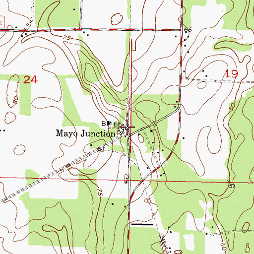 Topographic Map of Mayo Junction, FL