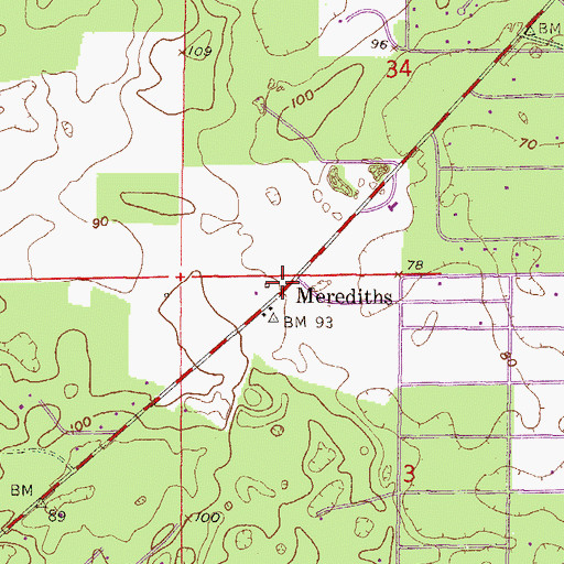 Topographic Map of Merediths, FL