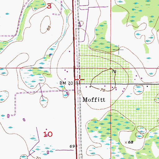 Topographic Map of Moffitt, FL