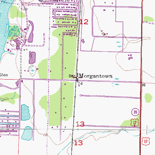 Topographic Map of Morgantown, FL