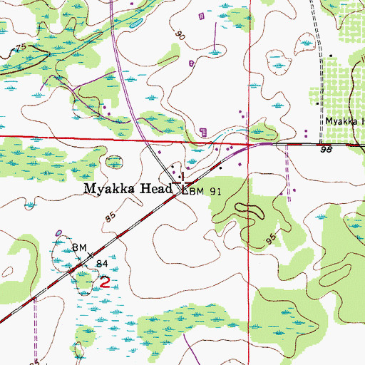 Topographic Map of Myakka Head, FL