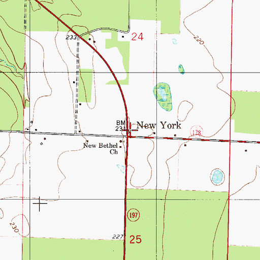 Topographic Map of New York, FL