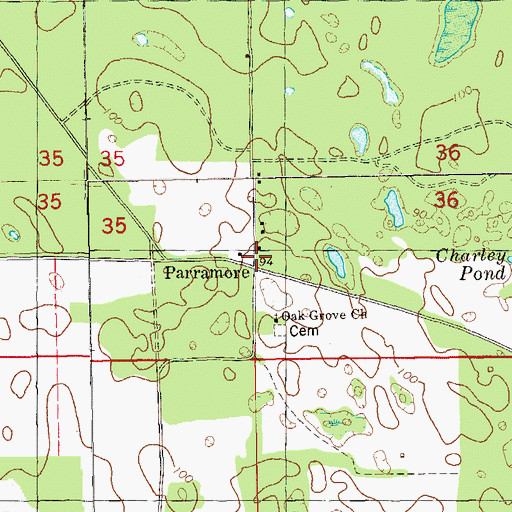 Topographic Map of Parramore, FL