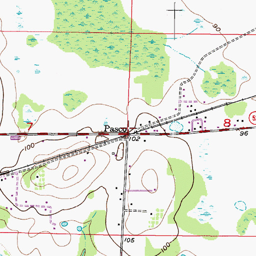 Topographic Map of Pasco, FL