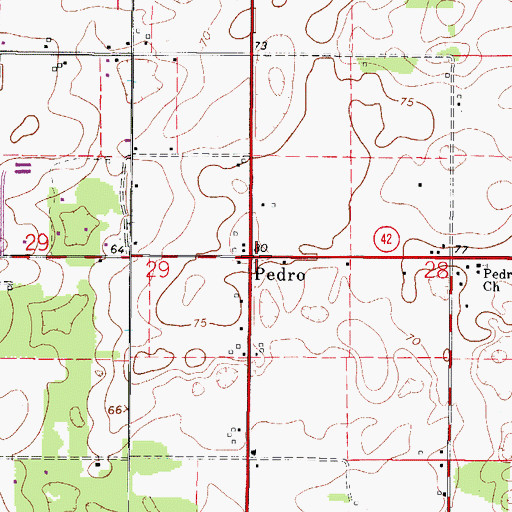 Topographic Map of Pedro, FL