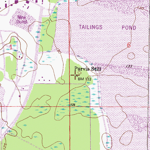 Topographic Map of Purvis Still, FL