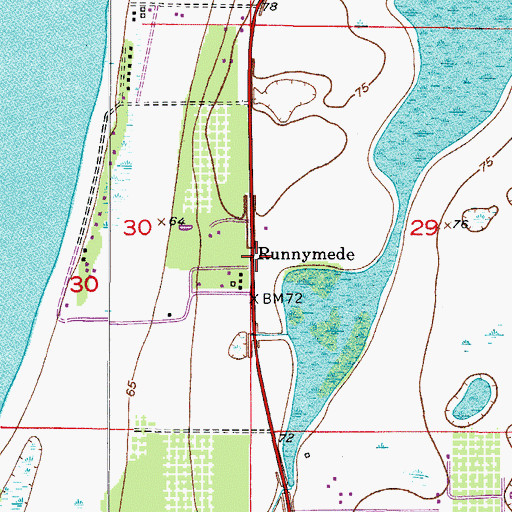 Topographic Map of Runnymede, FL