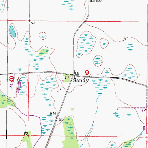 Topographic Map of Sandy, FL