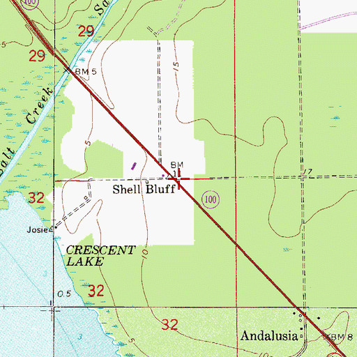 Topographic Map of Shell Bluff, FL