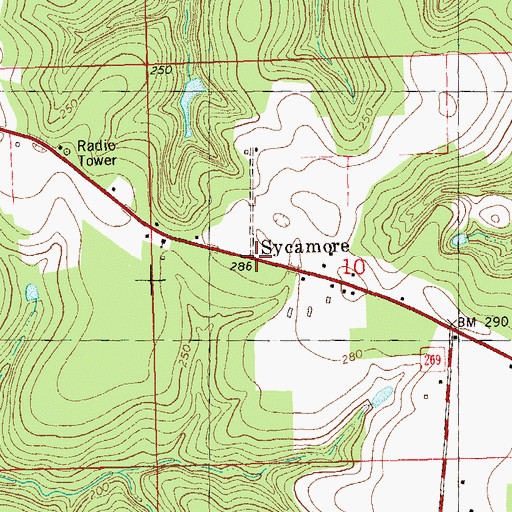 Topographic Map of Sycamore, FL