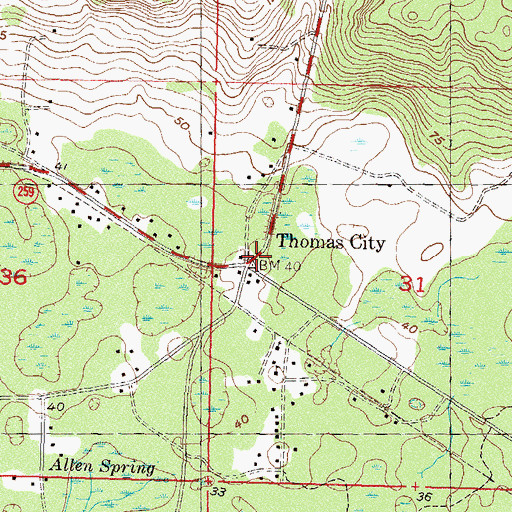 Topographic Map of Thomas City, FL