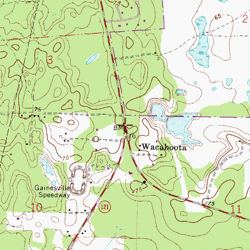Topographic Map of Wacahoota, FL